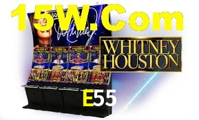 Bonus Features E55