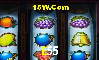 Sistemas de Segurança E55