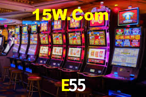 Premium Interface E55